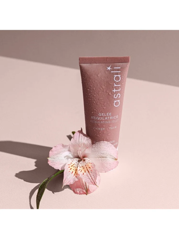 astrali Regulating Jelly Ελαφρύ Δροσερό Τζελ Προσώπου με Σμηγματορυθμιστική Δράση για Ματ Αποτέλεσμα - Κατάλληλο για Μικτές και Λιπαρές Επιδερμίδες 40ml