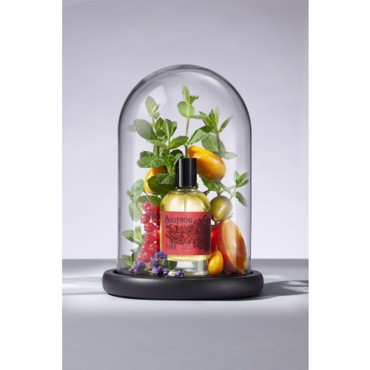 Bullfrog Elements: Eau de Toilette Fire 100ml (άρωμα)