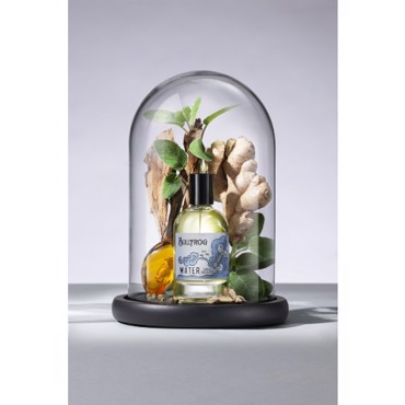 Bullfrog Elements: Eau de Toilette Water 100ml (άρωμα)