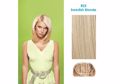 Hairdo 25cm Straight Clip-in Extensions - R22 Swedish Blonde (xantho platine)